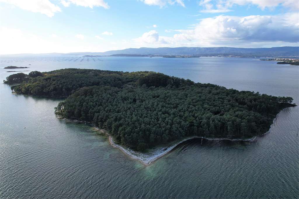 Excursión a la Isla de Cortegada