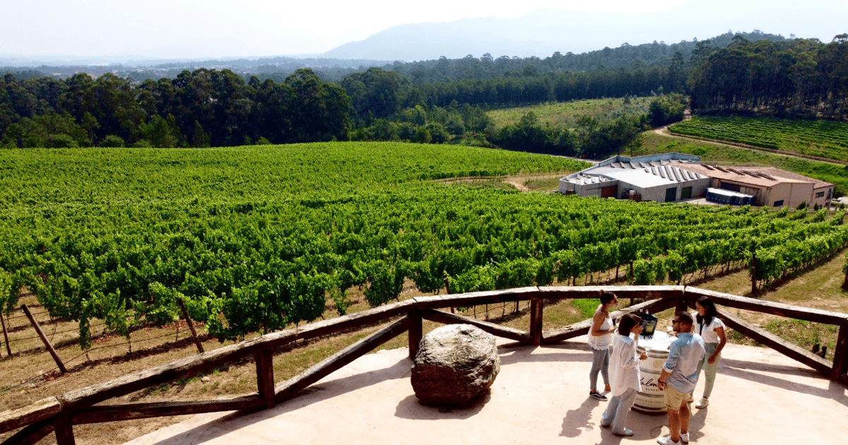 Bodegas Valmiñor